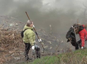 Трудятся взрослые и дети: месячник чистоты проходит в Сальске