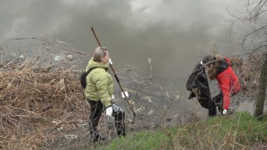 Трудятся взрослые и дети: месячник чистоты проходит в Сальске