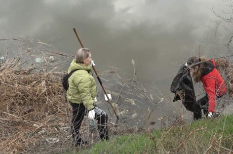 Трудятся взрослые и дети: месячник чистоты проходит в Сальске