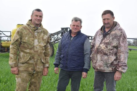 Трудовая весна «Руси»: аграрии базового сельхозпредприятия села Новый Егорлык ведут полевые работы