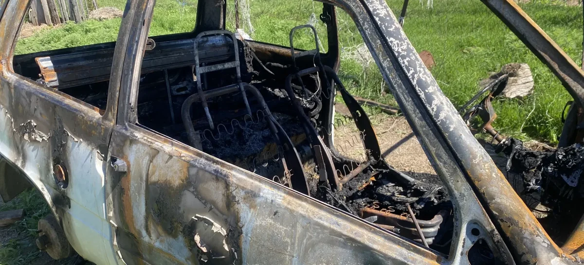 В Сальском районе сгорела «Ока»