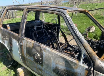 В Сальском районе сгорела «Ока»