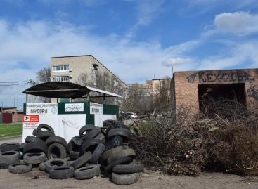 Почему в Сальске не удается избавиться от мусора на улицах