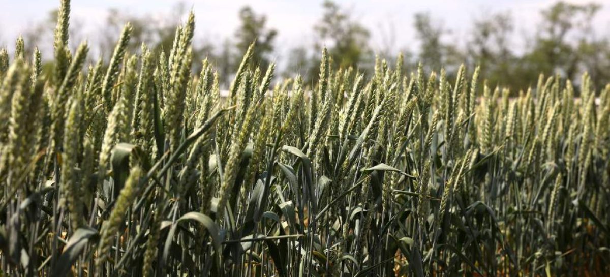 Россия преуспевает в поставках товаров за границу