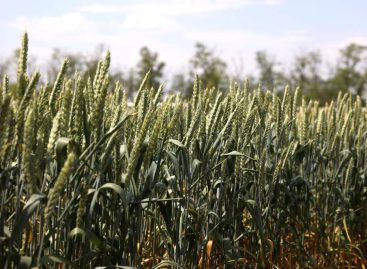 Россия преуспевает в поставках товаров за границу