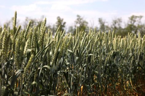 Россия преуспевает в поставках товаров за границу