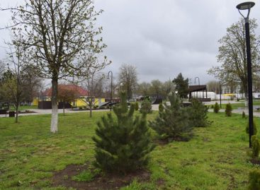 В городском парке в Сальске полным ходом идёт подготовка к открытию сезона