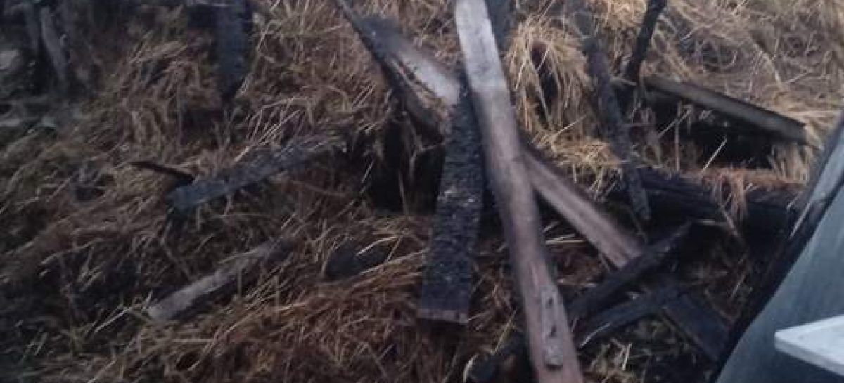 В Сальском районе сгорел сенник
