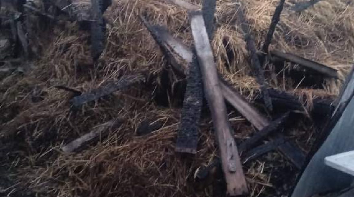 В Сальском районе сгорел сенник