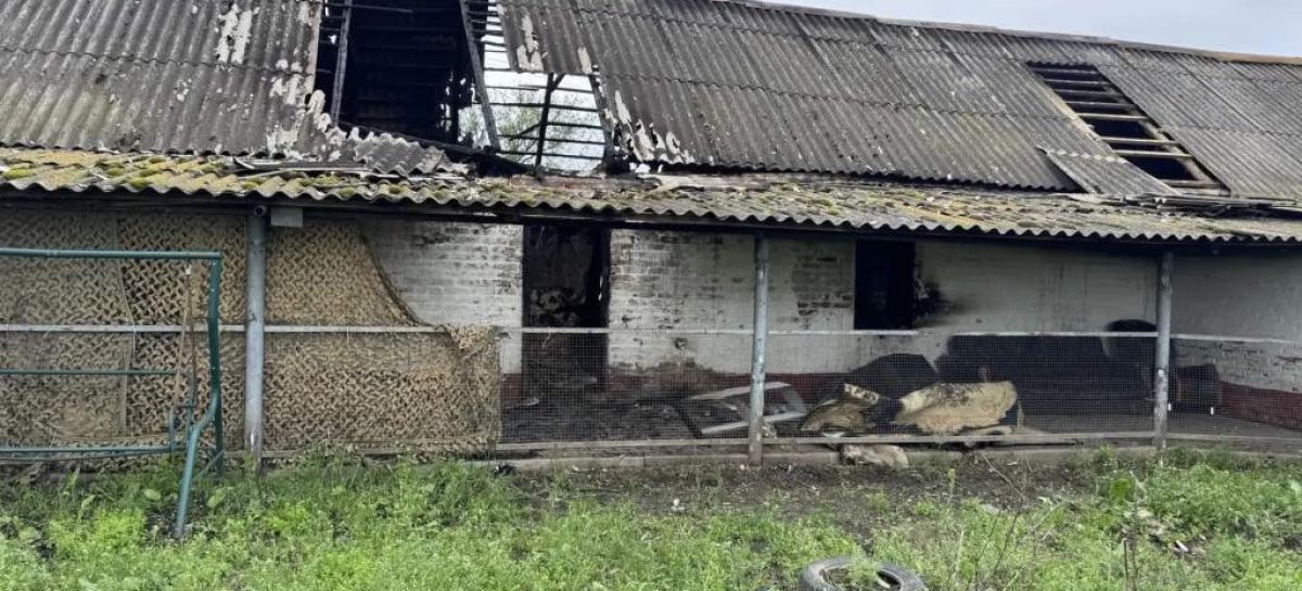 В Сальске, на улице Трактовой, случился пожар