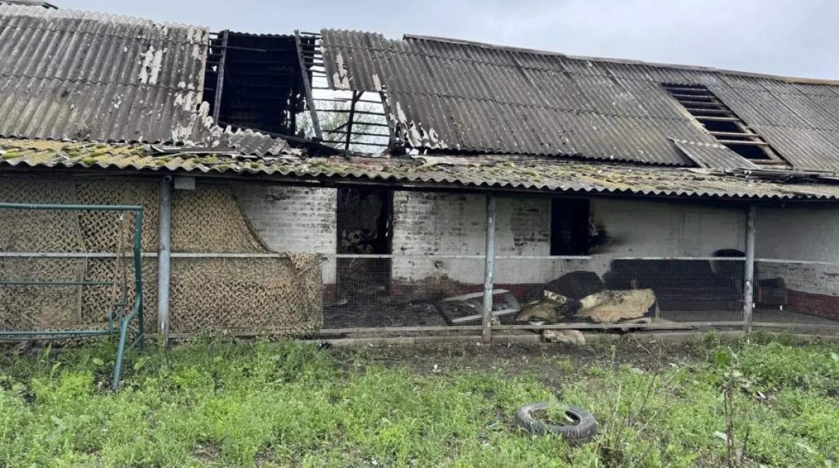 В Сальске, на улице Трактовой, случился пожар