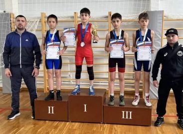 В активе — 6 золотых медалей: борцы из Гиганта прошли в финал Кубка Дона