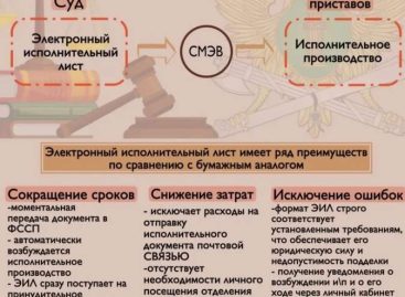Жителям Сальского района объяснили, как оформить электронный исполнительный лист