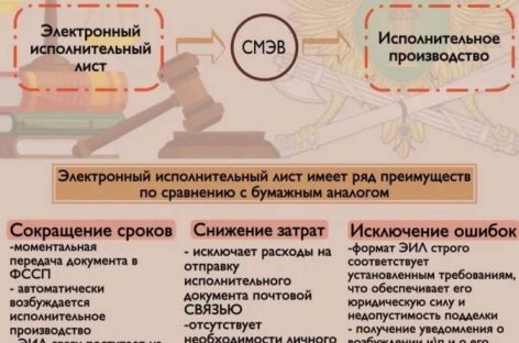 Жителям Сальского района объяснили, как оформить электронный исполнительный лист