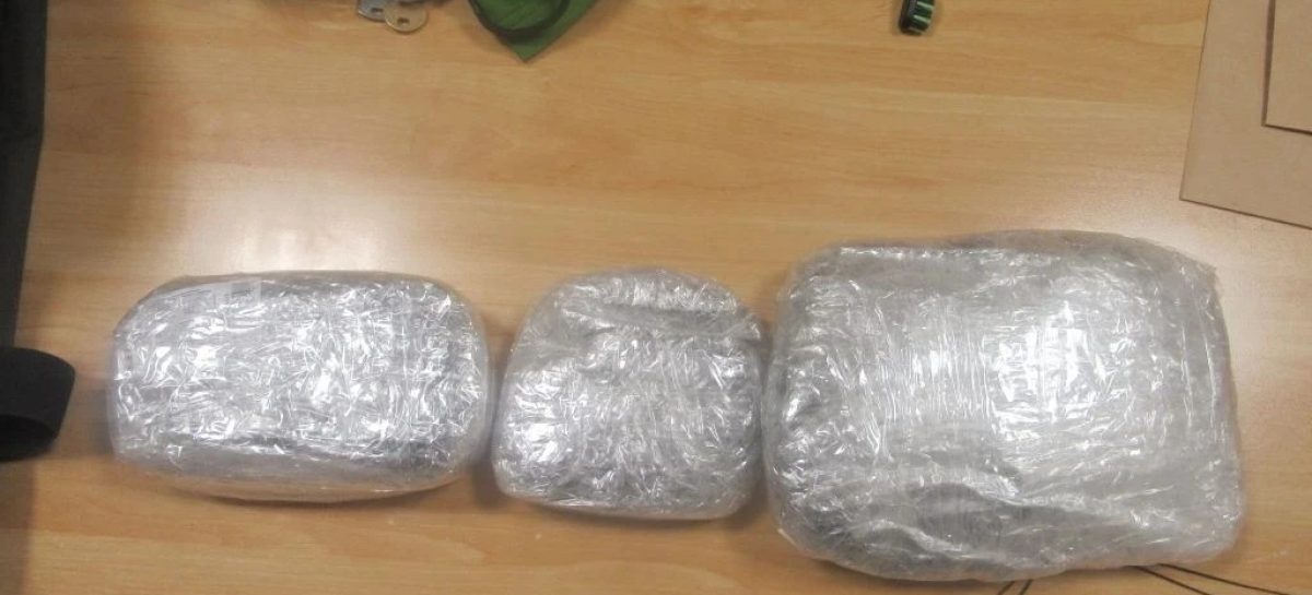Ростовчанин признан виновным в незаконном культивировании и обороте наркотиков
