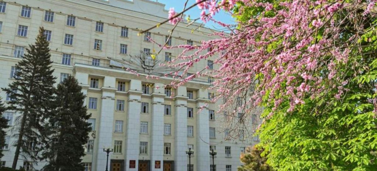 При поддержке «Единой России» на Дону расширили возможности многодетных семей в получении единого пособия на детей
