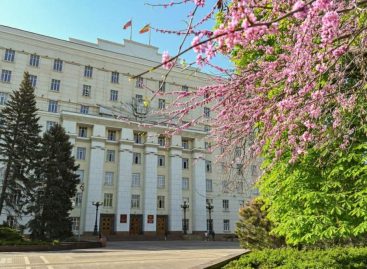 При поддержке «Единой России» на Дону расширили возможности многодетных семей в получении единого пособия на детей