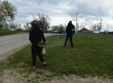 В Сальске полным ходом идёт покос сорной растительности