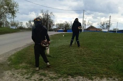 В Сальске полным ходом идёт покос сорной растительности