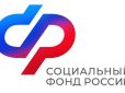 С начала 2026 года более 270 дончан получили компенсацию ОСАГО от отделения СФР по Ростовской области